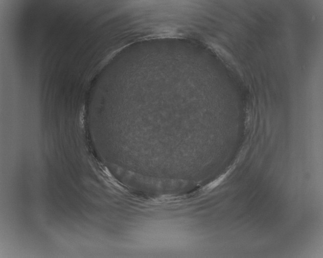 X0000070211161200606021248