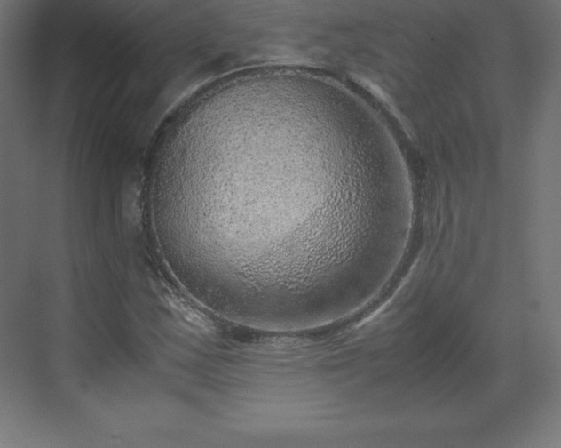 X0000070211163200606021248