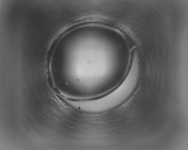 X0000070211164200606021248