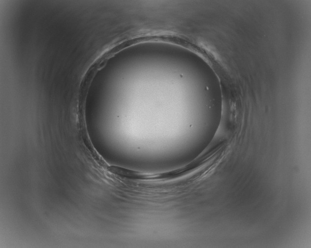 X0000070211165200606021247