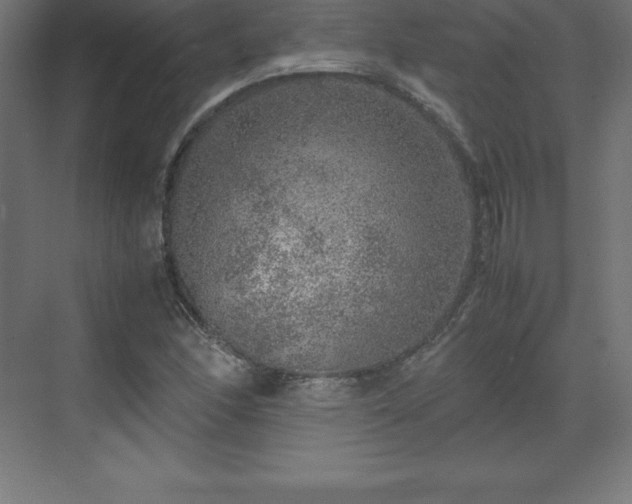 X0000070211166200606021247