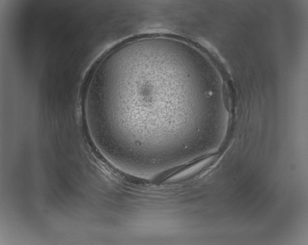 X0000070211167200606021247