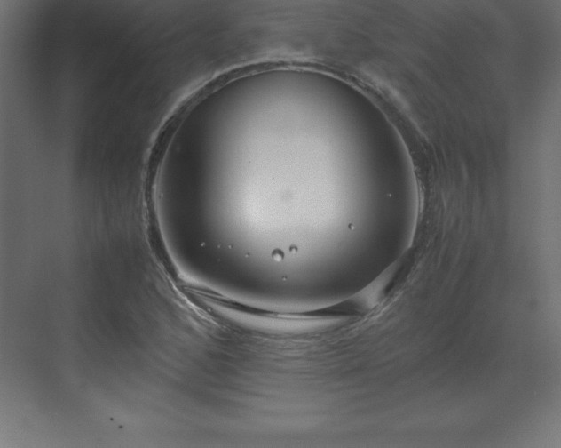 X0000070211168200606021247