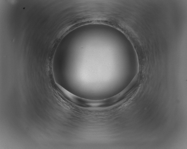 X0000070211169200606021247