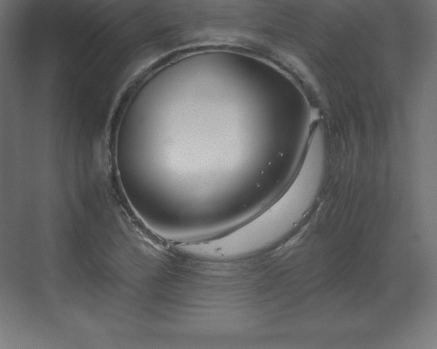 X0000070211172200606021247