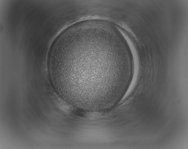 X0000070211173200606021247