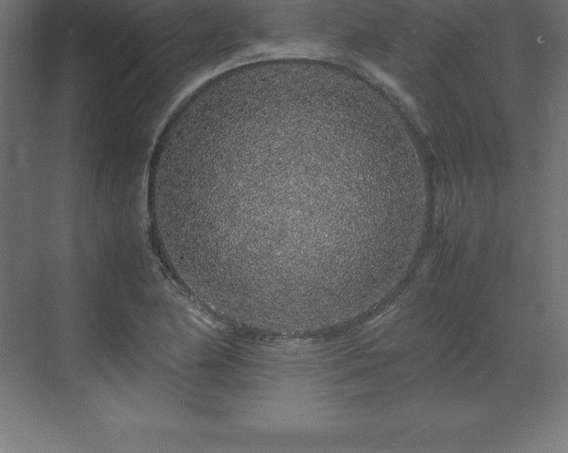 X0000070211174200606021247