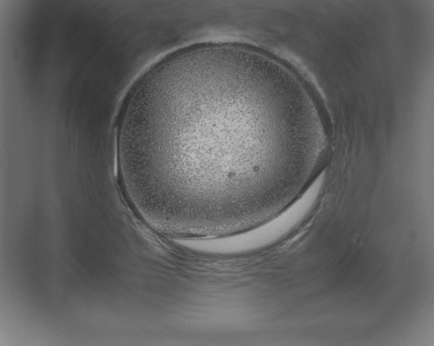 X0000070211175200606021247