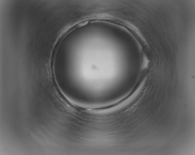 X0000070211176200606021247