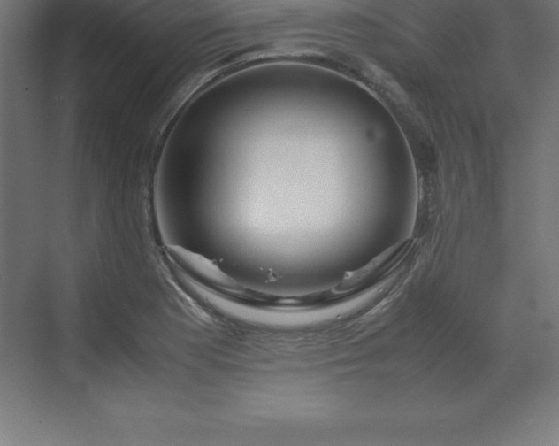 X0000070211177200606021247