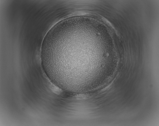 X0000070211178200606021247