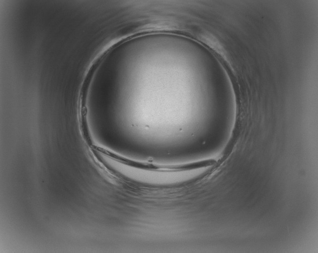 X0000070211179200606021247