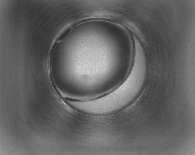 X0000070211180200606021247