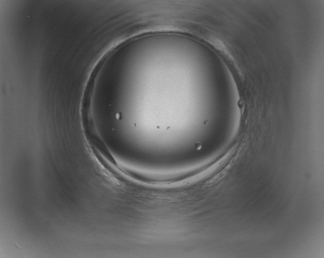 X0000070211181200606021247