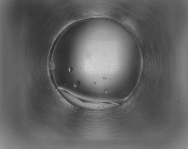 X0000070211182200606021247