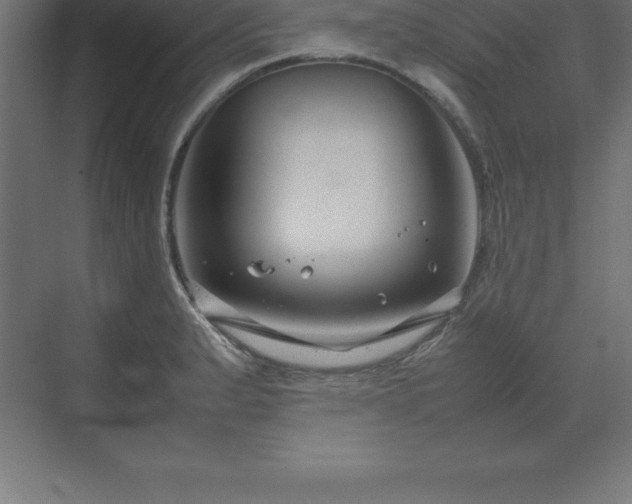 X0000070211183200606021247