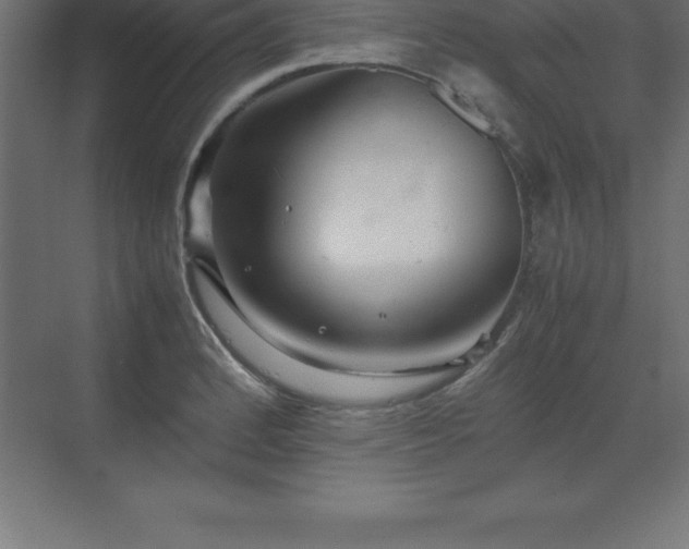 X0000070211184200606021247