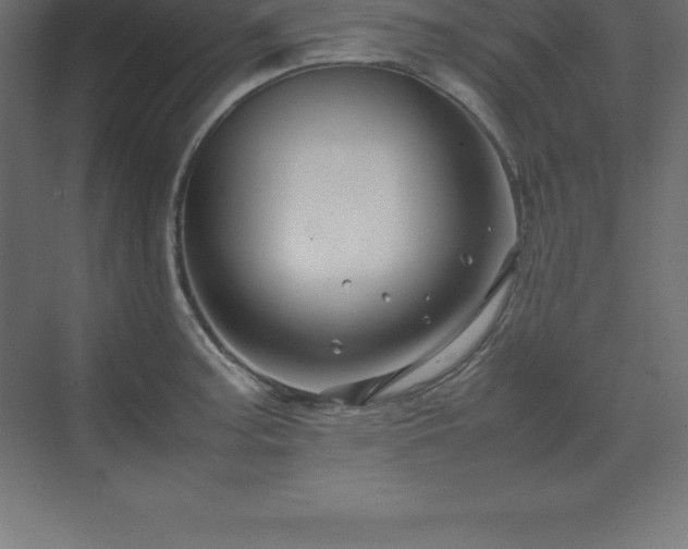 X0000070211187200606021247