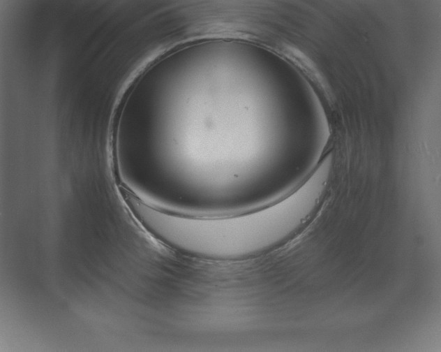 X0000070211188200606021247