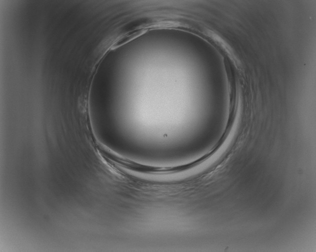 X0000070211193200606021247