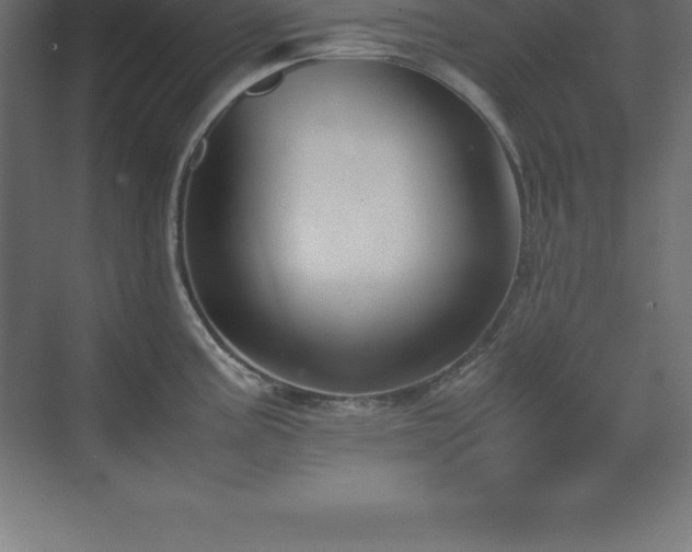 X0000070211195200606021247