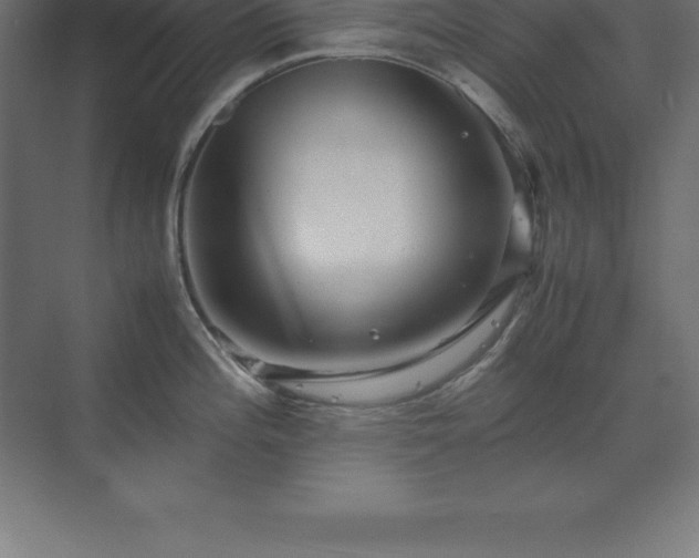 X0000070211196200606021247