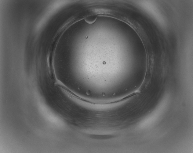 X0000070211198200606021247