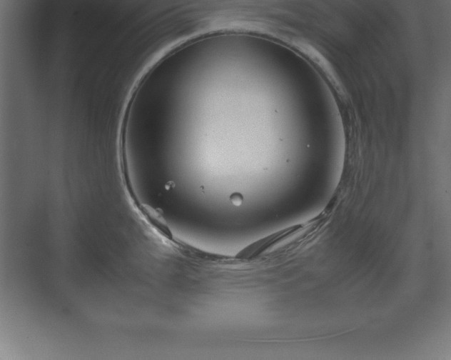 X0000070211199200606021247