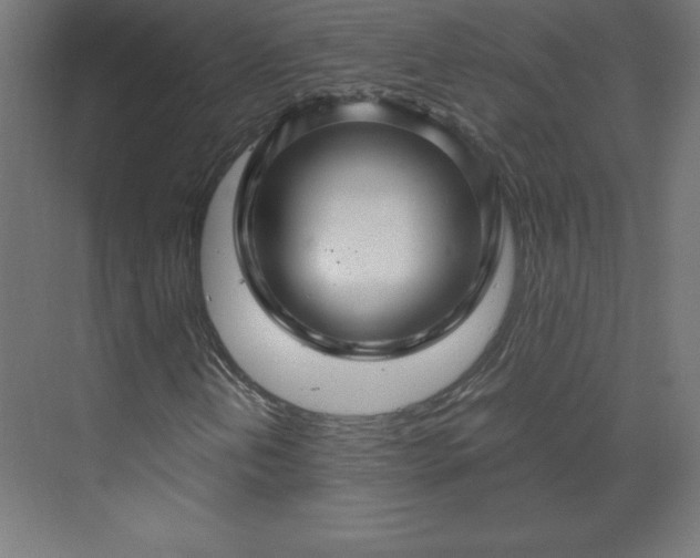 X0000070211202200606021246