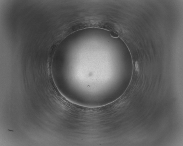 X0000070211203200606021246