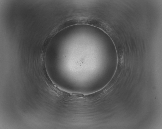 X0000070211204200606021246