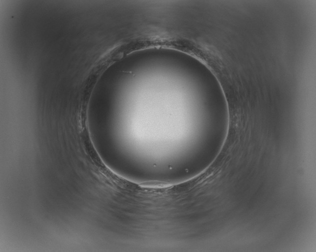 X0000070211205200606021246