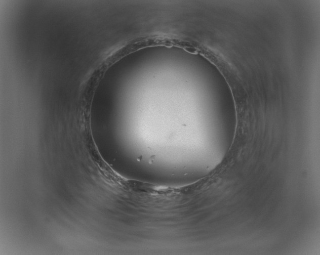 X0000070211207200606021246