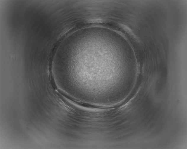 X0000070211209200606021246