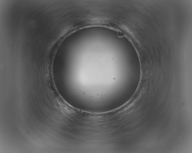 X0000070211211200606021246