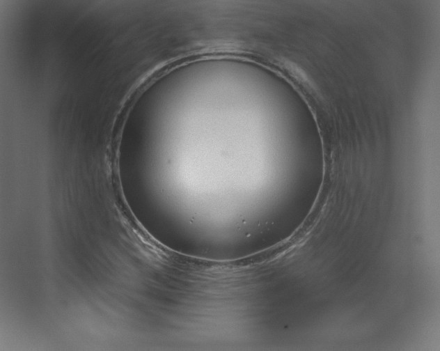 X0000070211212200606021246