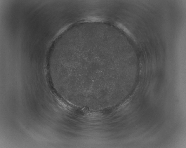 X0000070211213200606021246