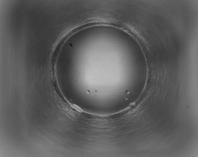 X0000070211215200606021246