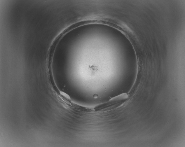 X0000070211216200606021246