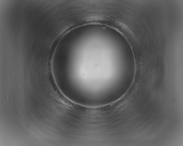 X0000070211217200606021246