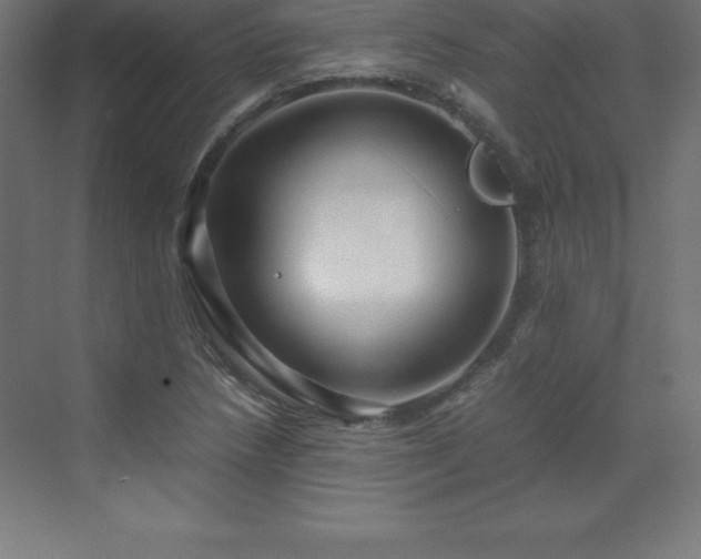 X0000070211218200606021246