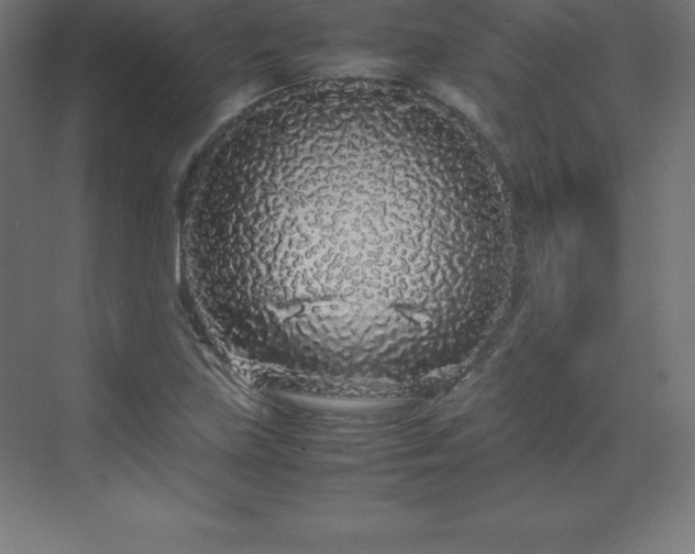 X0000070211219200606021246