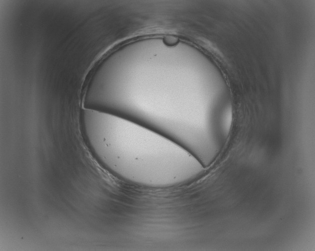 X0000070211220200606021246