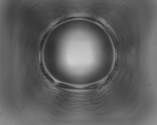 X0000070211221200606021246