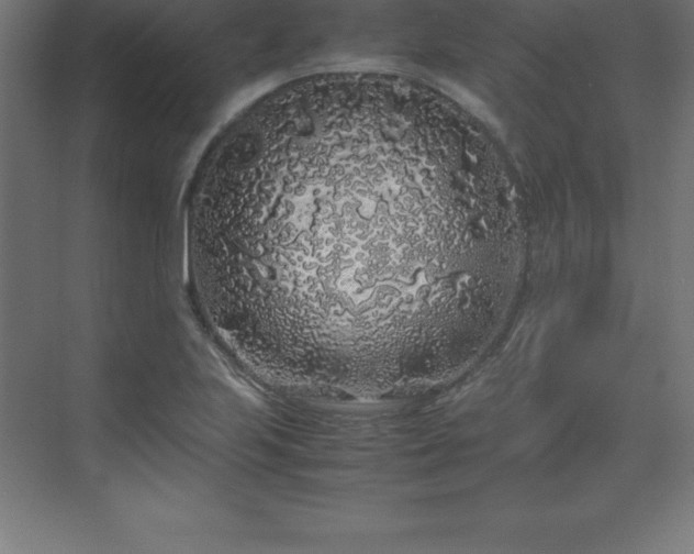 X0000070211223200606021246