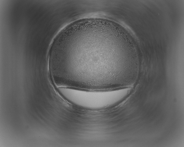 X0000070211224200606021246