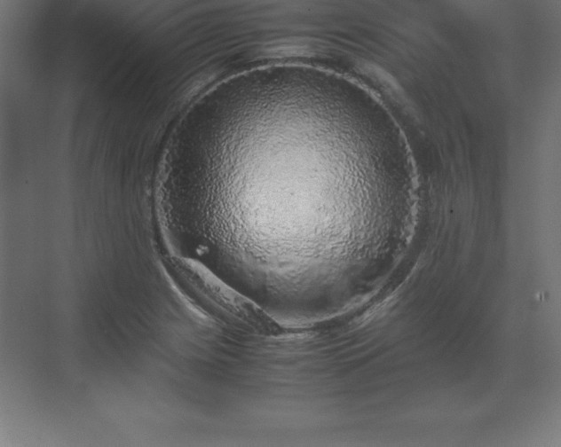 X0000070211225200606021246