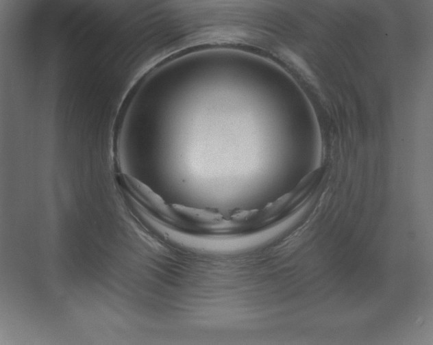 X0000070211226200606021247