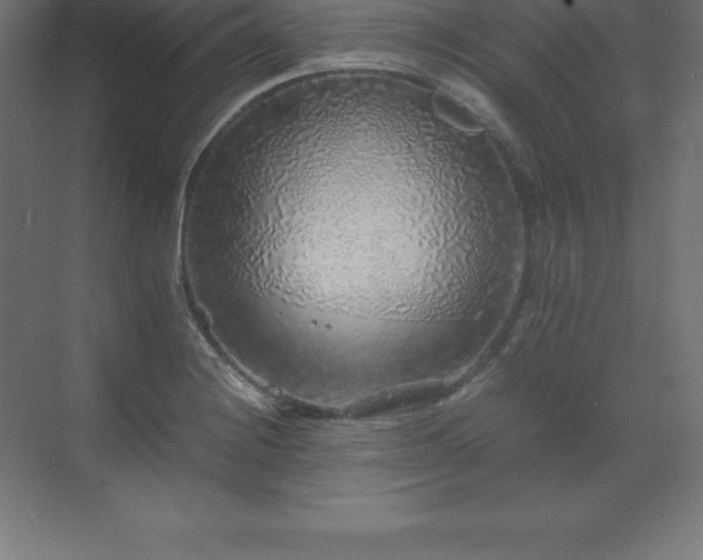 X0000070211228200606021247