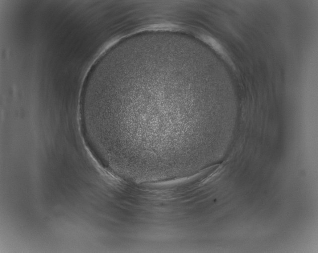 X0000070211229200606021247